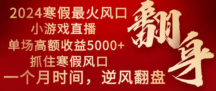 2024年最火寒假风口项目 小游戏直播 单场收益5000 抓住风口 一个月直接提车-先锋思维