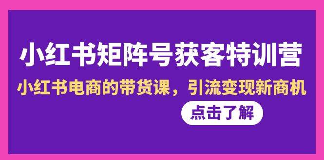 小红书-矩阵号获客特训营-第10期，小红书电商的带货课，引流变现新商机-先锋思维