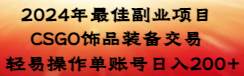 2024年最佳副业项目 CSGO饰品装备交易 轻易操作单账号日入200+-先锋思维