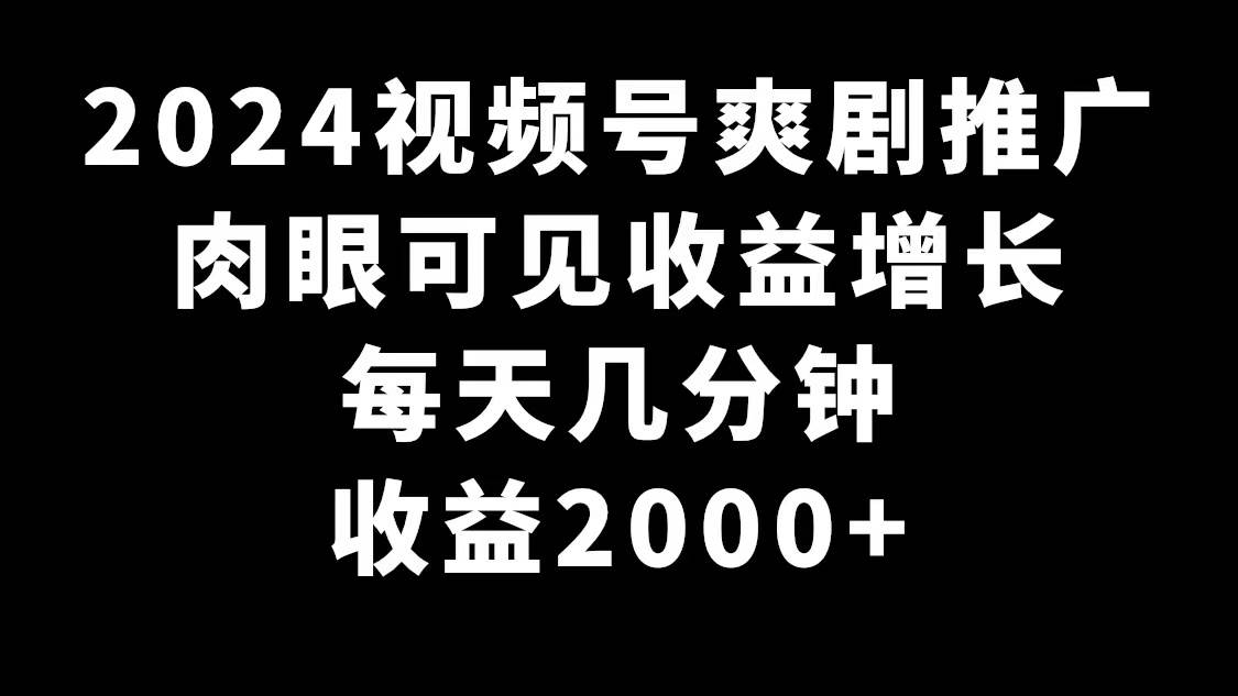 2024视频号爽剧推广，肉眼可见的收益增长，每天几分钟收益2000+-先锋思维