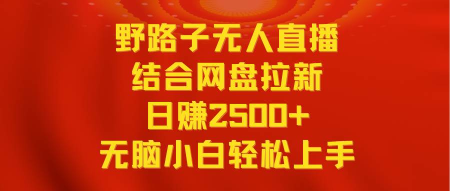 无人直播野路子结合网盘拉新，日赚2500+多平台变现，小白无脑轻松上手操作-先锋思维
