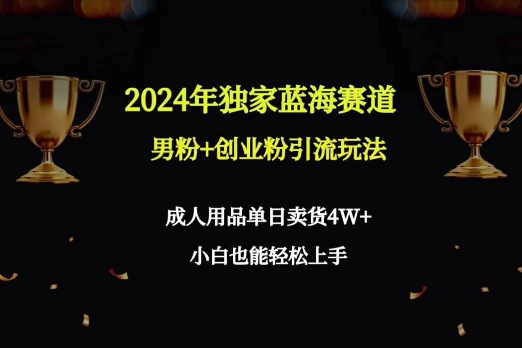 2024年独家蓝海赛道男粉+创业粉引流玩法，成人用品单日卖货4W+保姆教程-先锋思维