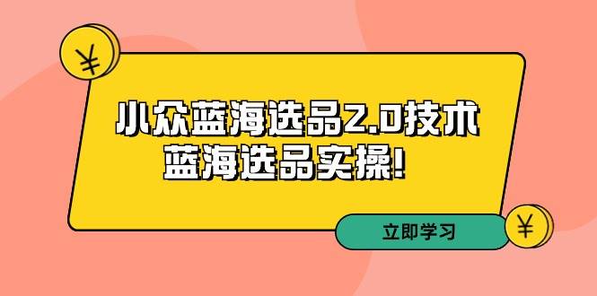 拼多多培训第33期：小众蓝海选品2.0技术-蓝海选品实操！-先锋思维