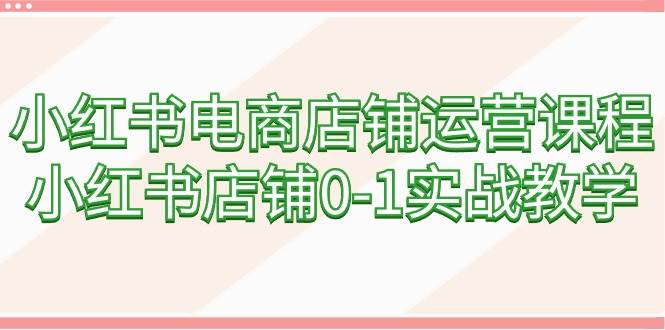小红书电商店铺运营课程，小红书店铺0-1实战教学（60节课）-先锋思维