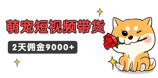 东哲日记·萌宠短视频带货，2天佣金9000+-先锋思维