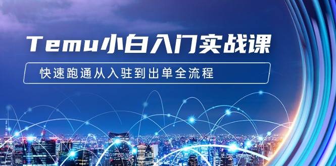 Temu小白入门实战课：跨境拼多多电商培训 快速跑通从入驻到出单全流程-12节-先锋思维