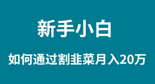 新手小白如何通过割韭菜月入 20W-先锋思维