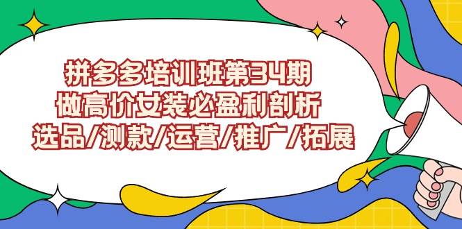 拼多多培训班第34期：做高价女装必盈利剖析  选品/测款/运营/推广/拓展-先锋思维