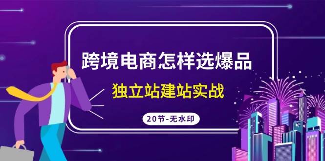 跨境电商怎样选爆品，独立站建站实战（20节高清无水印课）-先锋思维