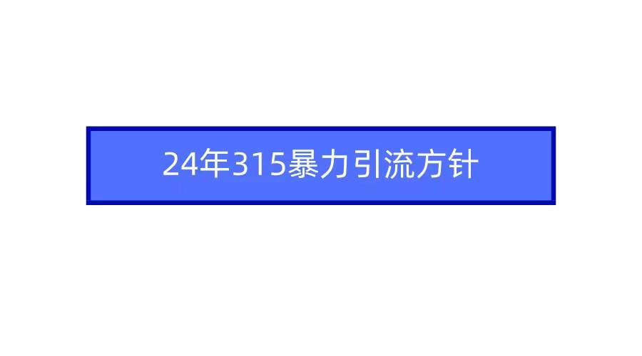 2024年315暴力引流方针-先锋思维