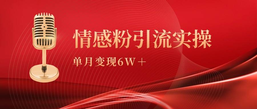 单月变现6w+，情感粉引流变现实操课-先锋思维