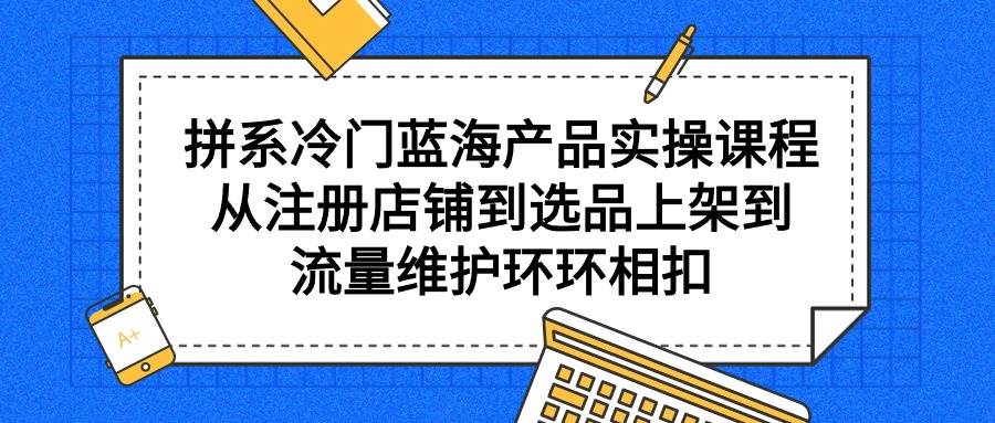拼系冷门蓝海产品实操课程，从注册店铺到选品上架到流量维护环环相扣-先锋思维