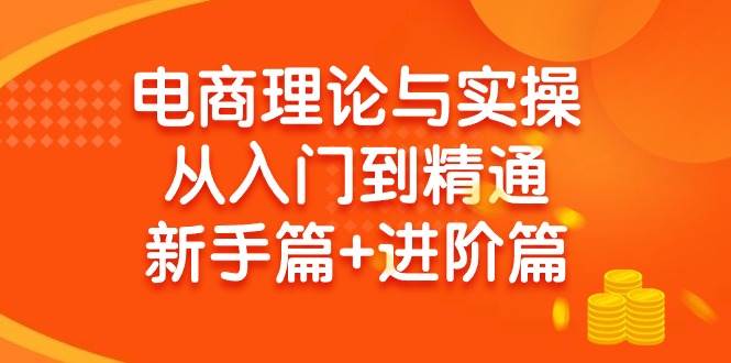 电商理论与实操从入门到精通 新手篇+进阶篇-先锋思维