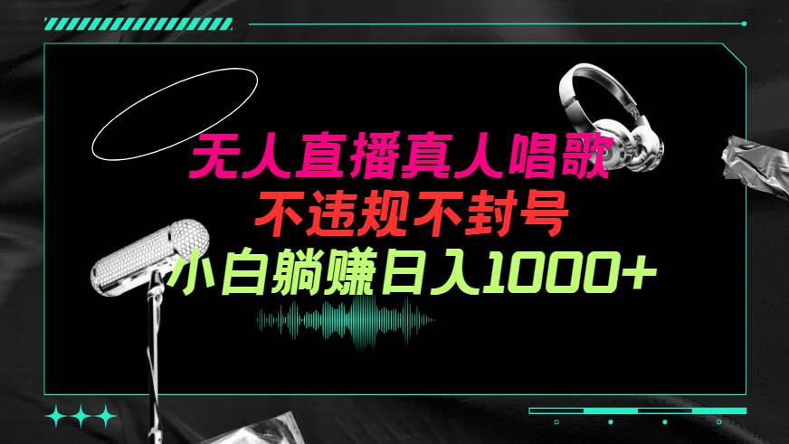 抖音24小时无人直播音乐，不违规，不封号纯撸音浪，小白实操当天日入1000+-先锋思维