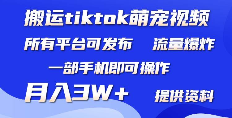 搬运Tiktok萌宠类视频，一部手机即可。所有短视频平台均可操作，月入3W+-先锋思维