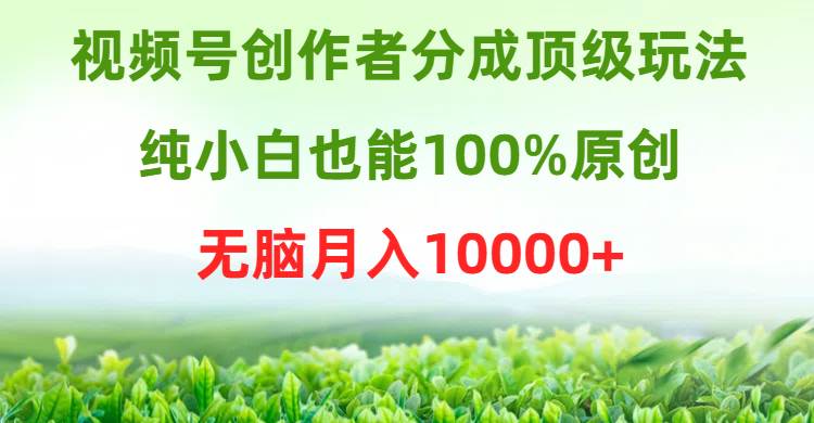 视频号创作者分成顶级玩法，纯小白也能100%原创，无脑月入10000+-先锋思维