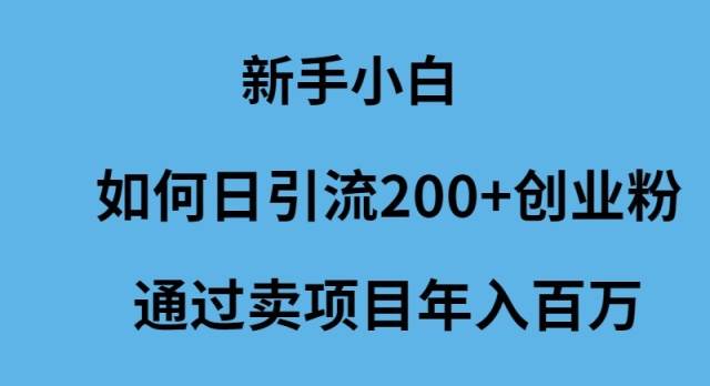 新手小白如何日引流200+创业粉通过卖项目年入百万-先锋思维