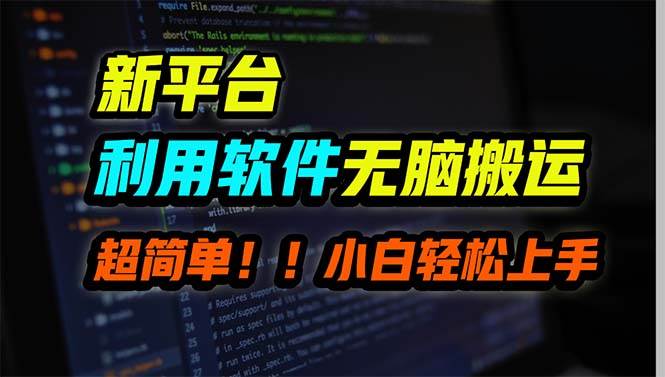 新平台用软件无脑搬运，月赚10000+，小白也能轻松上手-先锋思维