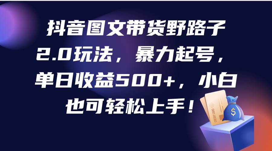 抖音图文带货野路子2.0玩法，暴力起号，单日收益500+，小白也可轻松上手！-先锋思维