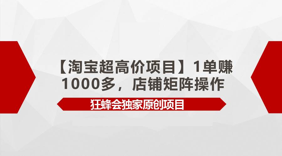 【淘宝超高价项目】1单赚1000多，店铺矩阵操作-先锋思维