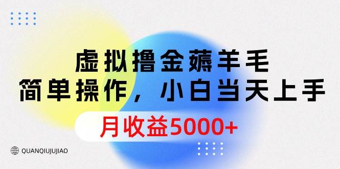 虚拟撸金薅羊毛，简单操作，小白当天上手，月收益5000+-先锋思维