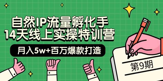 自然IP流量孵化手 14天线上实操特训营【第9期】月入5w+百万爆款打造 (74节)-先锋思维