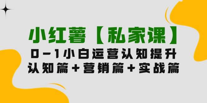 小红薯【私家课】0-1玩赚小红书内容营销，认知篇+营销篇+实战篇（11节课）-先锋思维