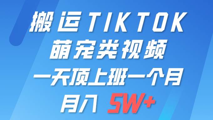 一键搬运TIKTOK萌宠类视频 一部手机即可操作 所有平台均可发布 轻松月入5W+-先锋思维