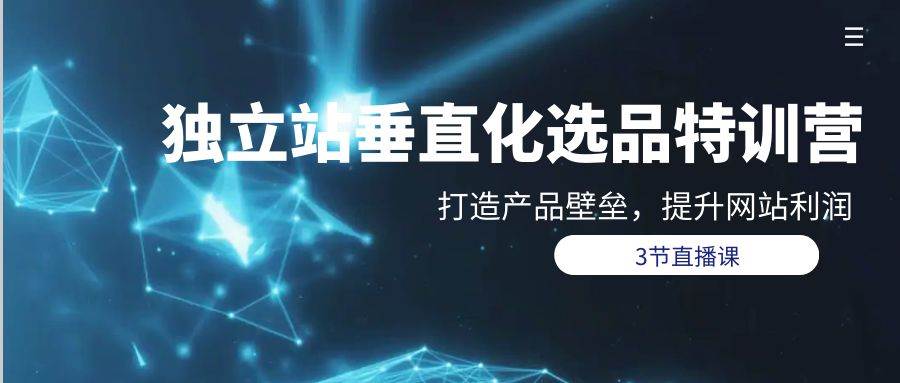 独立站-垂直化选品训练营，打造产品壁垒，提升网站利润（3节直播课）-先锋思维