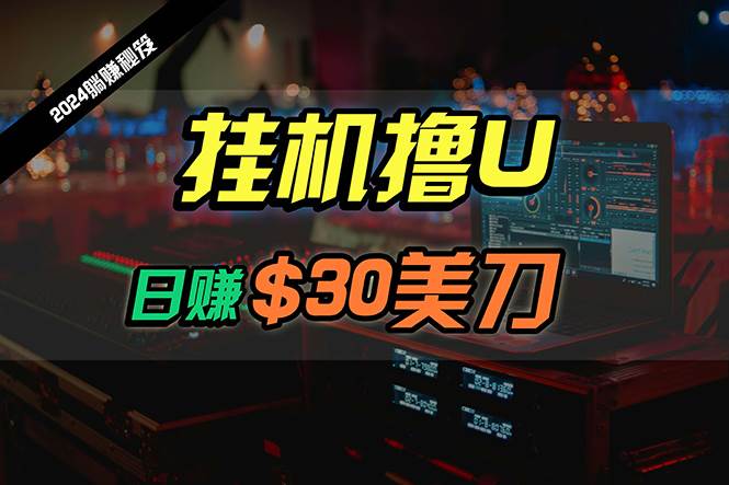 日赚30美刀，2024最新海外挂机撸U内部项目，全程无人值守，可批量放大-先锋思维