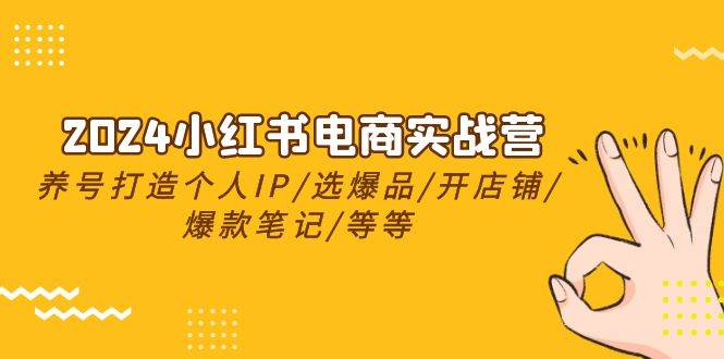 2024小红书电商实战营，养号打造IP/选爆品/开店铺/爆款笔记/等等（24节）-先锋思维