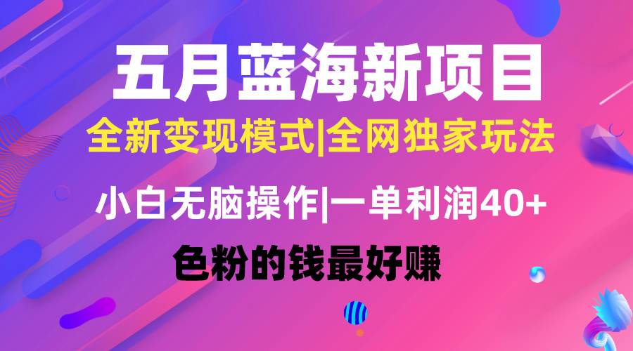 五月蓝海项目全新玩法，小白无脑操作，一天几分钟，矩阵操作，月入4万+-先锋思维