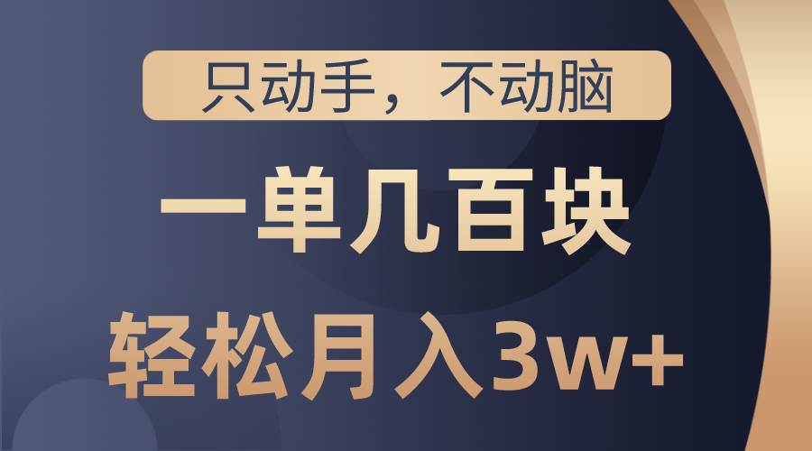 只动手不动脑，一单几百块，轻松月入3w+，看完就能直接操作，详细教程-先锋思维