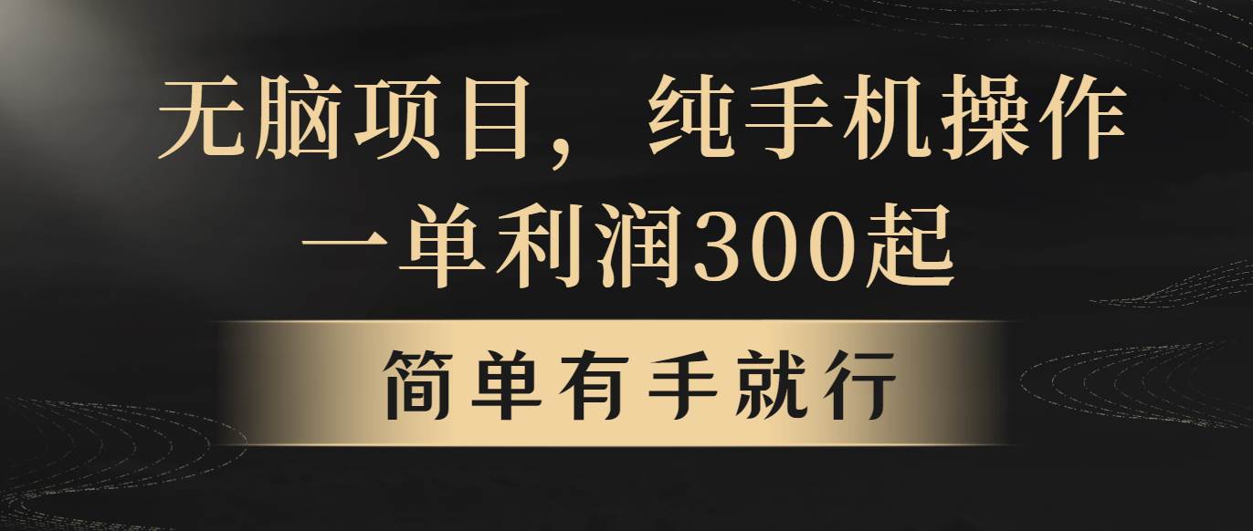 无脑项目，一单几百块，轻松月入5w+，看完就能直接操作-先锋思维