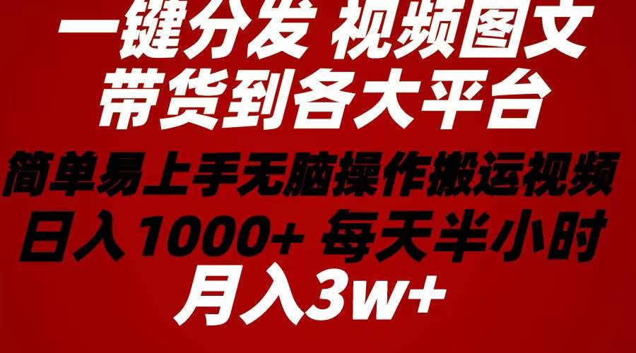 2024年 一键分发带货图文视频  简单易上手 无脑赚收益 每天半小时日入1…-先锋思维