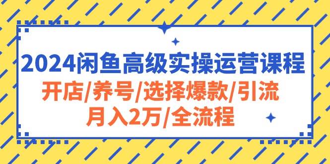 2024闲鱼高级实操运营课程：开店/养号/选择爆款/引流/月入2万/全流程-先锋思维