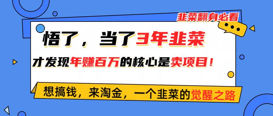 悟了，当了3年韭菜，才发现网赚圈年赚100万的核心是卖项目，含泪分享！-先锋思维