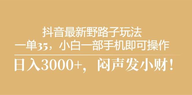 抖音最新野路子玩法，一单35，小白一部手机即可操作，，日入3000+，闷…-先锋思维