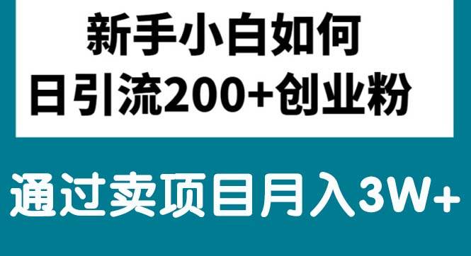新手小白日引流200+创业粉,通过卖项目月入3W+-先锋思维